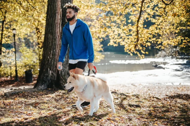 Walk Your Pets While Listening to Music